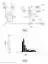 Fig. 02 - BIOMIMETIC LIQUID PARTICLES, METHOD AND DEVICE FOR FLOW CYTOMETER MEASUREMENT