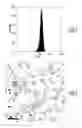 Fig. 06 - BIOMIMETIC LIQUID PARTICLES, METHOD AND DEVICE FOR FLOW CYTOMETER MEASUREMENT