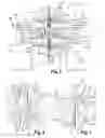 Fig. 04 - Flow cytometry assembly and system, analyzing device comprising such a cytometry assembly and assembly comprising such a cytometry system
