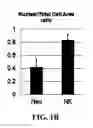 Fig. 03 - IMAGE ANALYSIS AND MEASUREMENT OF BIOLOGICAL SAMPLES