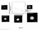 Fig. 07 - IMAGE ANALYSIS AND MEASUREMENT OF BIOLOGICAL SAMPLES