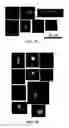 Fig. 09 - IMAGE ANALYSIS AND MEASUREMENT OF BIOLOGICAL SAMPLES