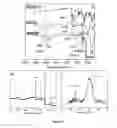 Fig. 03 - Sensor and method for detecting mercury