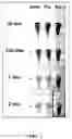 Fig. 08 - Hydrogel, preparation method thereof, and pH sensor comprising the same