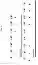 Fig. 15 - Hydrogel, preparation method thereof, and pH sensor comprising the same