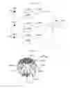 Fig. 10 - Defect inspection device and defect inspection method