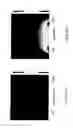 Fig. 10 - Apparatus for detection of biomolecules and its fabrication