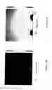 Fig. 14 - Apparatus for detection of biomolecules and its fabrication