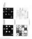 Fig. 15 - Apparatus for detection of biomolecules and its fabrication