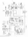 Fig. 13 - Diagnostic devices and methods