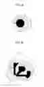 Fig. 04 - METHOD FOR SORTING NUCLEATED RED BLOOD CELL