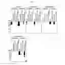 Fig. 12 - COMPOUNDS AND METHODS USED IN ASSESSING MONO-PARP ACTIVITY