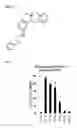 Fig. 03 - STING AGONISTS AND METHODS OF SELECTING STING AGONISTS