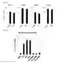 Fig. 04 - STING AGONISTS AND METHODS OF SELECTING STING AGONISTS
