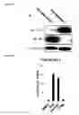 Fig. 07 - STING AGONISTS AND METHODS OF SELECTING STING AGONISTS