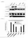 Fig. 11 - STING AGONISTS AND METHODS OF SELECTING STING AGONISTS