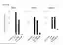 Fig. 23 - STING AGONISTS AND METHODS OF SELECTING STING AGONISTS