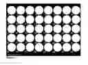 Fig. 02 - Device for high throughput detection of cervical disease