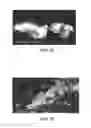 Fig. 15 - Particle Facilitated Testing