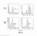 Fig. 05 - COMPOSITIONS, KITS AND METHODS FOR IN VITRO ANTIGEN PRESENTATION, ASSESSING VACCINE EFFICACY, AND ASSESSING IMMUNOTOXICITY OF BIOLOGICS AND DRUGS