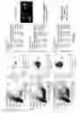 Fig. 06 - COMPOSITIONS, KITS AND METHODS FOR IN VITRO ANTIGEN PRESENTATION, ASSESSING VACCINE EFFICACY, AND ASSESSING IMMUNOTOXICITY OF BIOLOGICS AND DRUGS