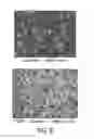 Fig. 10 - COMPOSITIONS, KITS AND METHODS FOR IN VITRO ANTIGEN PRESENTATION, ASSESSING VACCINE EFFICACY, AND ASSESSING IMMUNOTOXICITY OF BIOLOGICS AND DRUGS