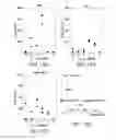 Fig. 13 - COMPOSITIONS, KITS AND METHODS FOR IN VITRO ANTIGEN PRESENTATION, ASSESSING VACCINE EFFICACY, AND ASSESSING IMMUNOTOXICITY OF BIOLOGICS AND DRUGS