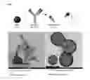 Fig. 04 - A METHOD OF LABELLING A TARGET MOLECULE FORMING PART OF A CORONA OF MOLECULES ON A SURFACES OF A NANOSIZED OBJECT