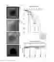 Fig. 09 - A METHOD OF LABELLING A TARGET MOLECULE FORMING PART OF A CORONA OF MOLECULES ON A SURFACES OF A NANOSIZED OBJECT