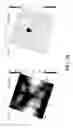 Fig. 12 - Functionalized graphene oxide system for detecting rare cells
