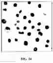 Fig. 37 - Functionalized graphene oxide system for detecting rare cells