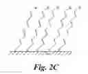 Fig. 07 - DEVICE, METHOD AND SYSTEM FOR ANTIGEN DETECTION