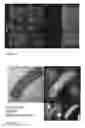 Fig. 26 - Agents and methods for determining colorectal cancer status