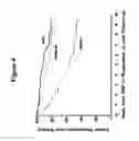 Fig. 05 - B7-H3 IN CANCER