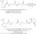 Fig. 128 - Isobaric mass labels