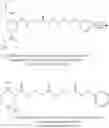 Fig. 142 - Isobaric mass labels
