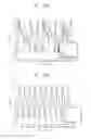 Fig. 19 - Radar device and operation method thereof