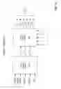 Fig. 12 - System and method for off angle three-dimensional face standardization for robust performance
