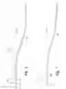 Fig. 07 - System and method of a buoyant tail section of a geophysical streamer
