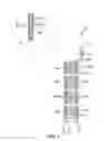 Fig. 02 - User selectable remote programming for cascade-connected light curtains