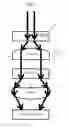 Fig. 02 - SPECTRAL DEVICE AND IMAGE-PICKUP DEVICE