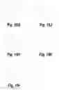 Fig. 46 - Subwavelength photonic crystal waveguide in optical systems