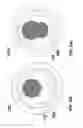 Fig. 37 - Connector for an optical fiber and combinations, kits, and methods of using the same