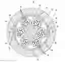 Fig. 01 - Optical fiber cable with reinforcement