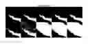 Fig. 01 - Temporal compressive sensing systems