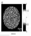 Fig. 13 - Light-field imaging using a gradient metasurface optical element