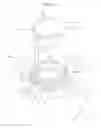 Fig. 05 - Lens moving apparatus, camera module and optical appliance including the same
