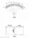 Fig. 04 - Indoor/outdoor sunglasses