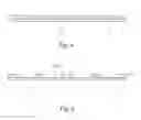 Fig. 05 - Display panel and manufacturing thereof