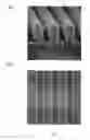 Fig. 06 - Mask blank with resist film and method for manufacturing the same and method for manufacturing transfer mask